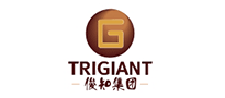 俊知集團有限公司-國內5G建設的代表企業(yè)